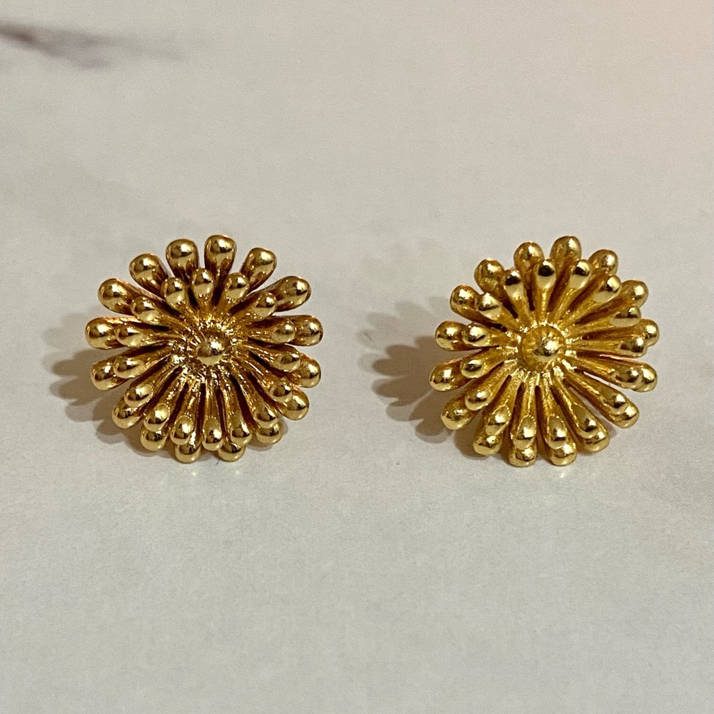 Coach Earrings